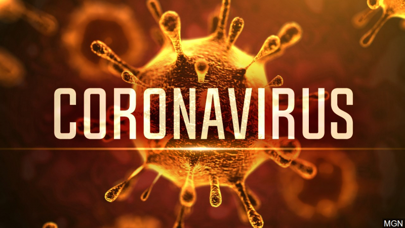 Information on coronavirus